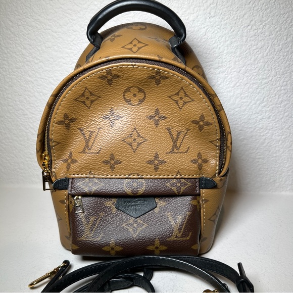Louis Vuitton Palm Springs Mini - Picture 2 of 9